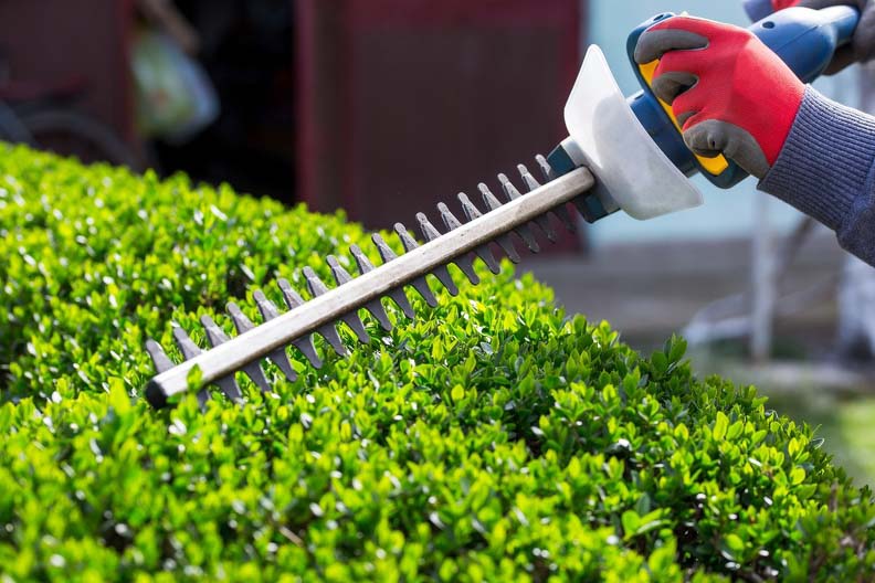 Landscaping