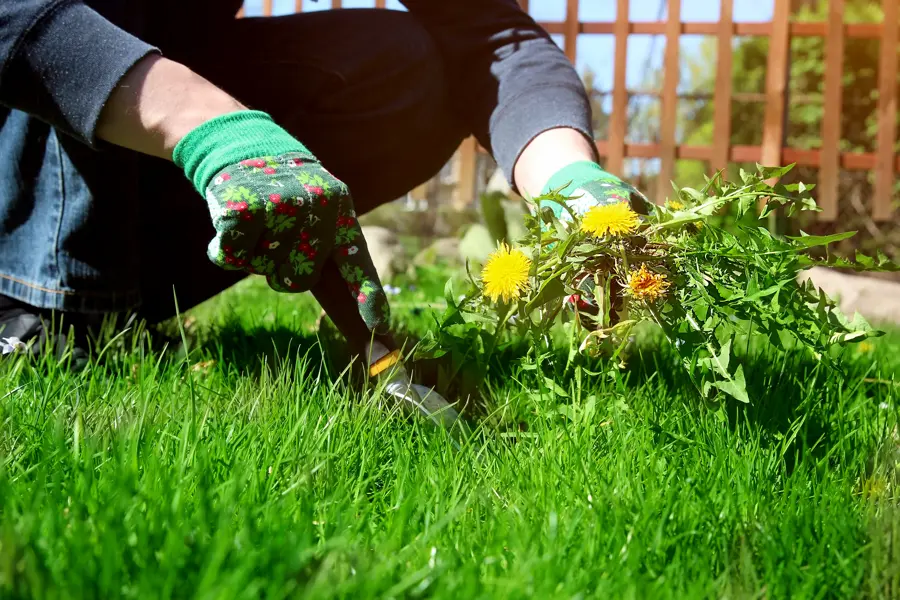 Planting Service
